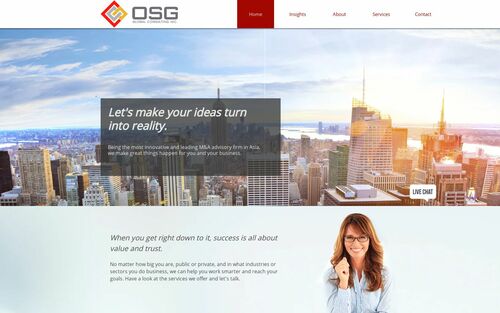 OSG Global Consulting, Inc. logo